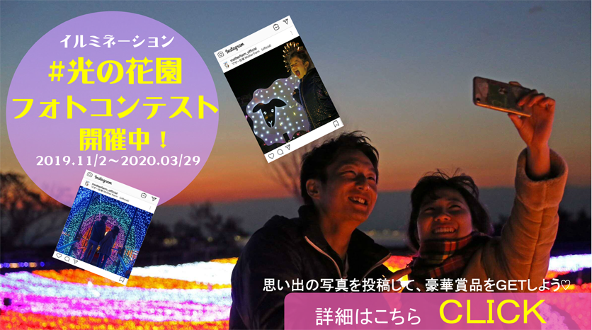 イルミネーション「光の花園」フォトコンテスト開催！