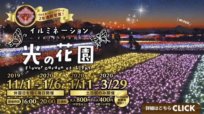 2019　イルミネーション　「光の花園」