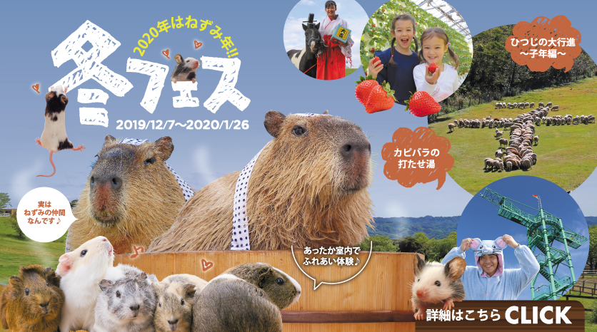 「冬フェス2019-20」