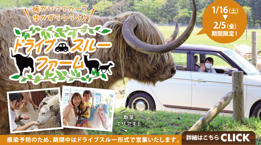 ドライブスルーファーム2021