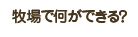 牧場で何ができる？