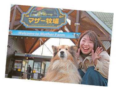 マザー牧場に到着