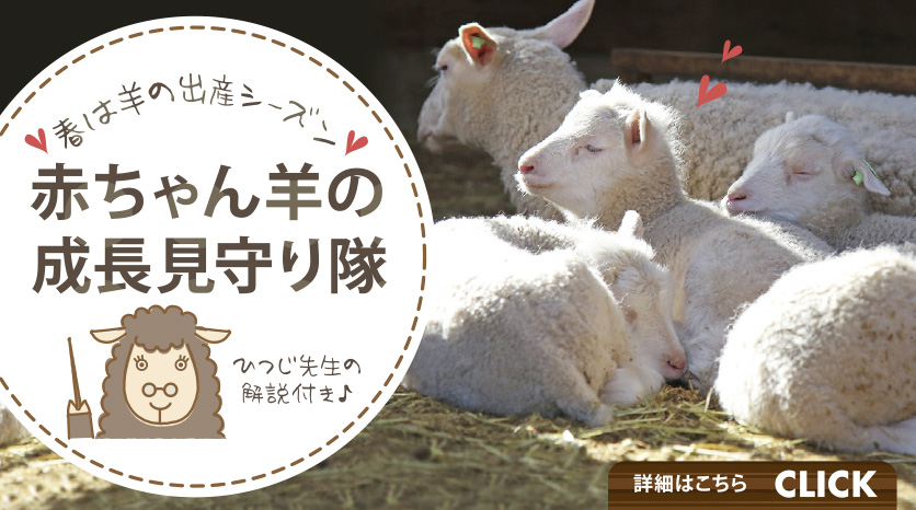 マザー牧場 花と動物たちのエンターテイメントファーム