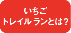 いちごトレイルランとは？