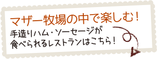 マザー牧場の中で楽しむ！